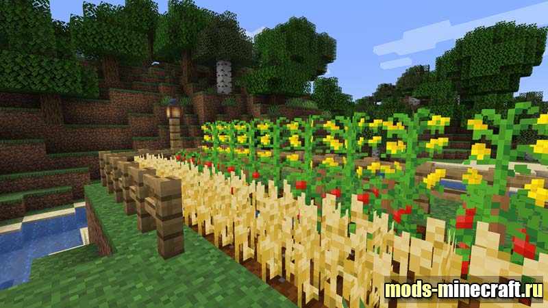 Simple Farming 1.16.3, 1.15.2, 1.14.4 &#8211; Minecraft Mods